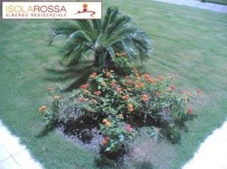 Isola Rossa Apart-hotel